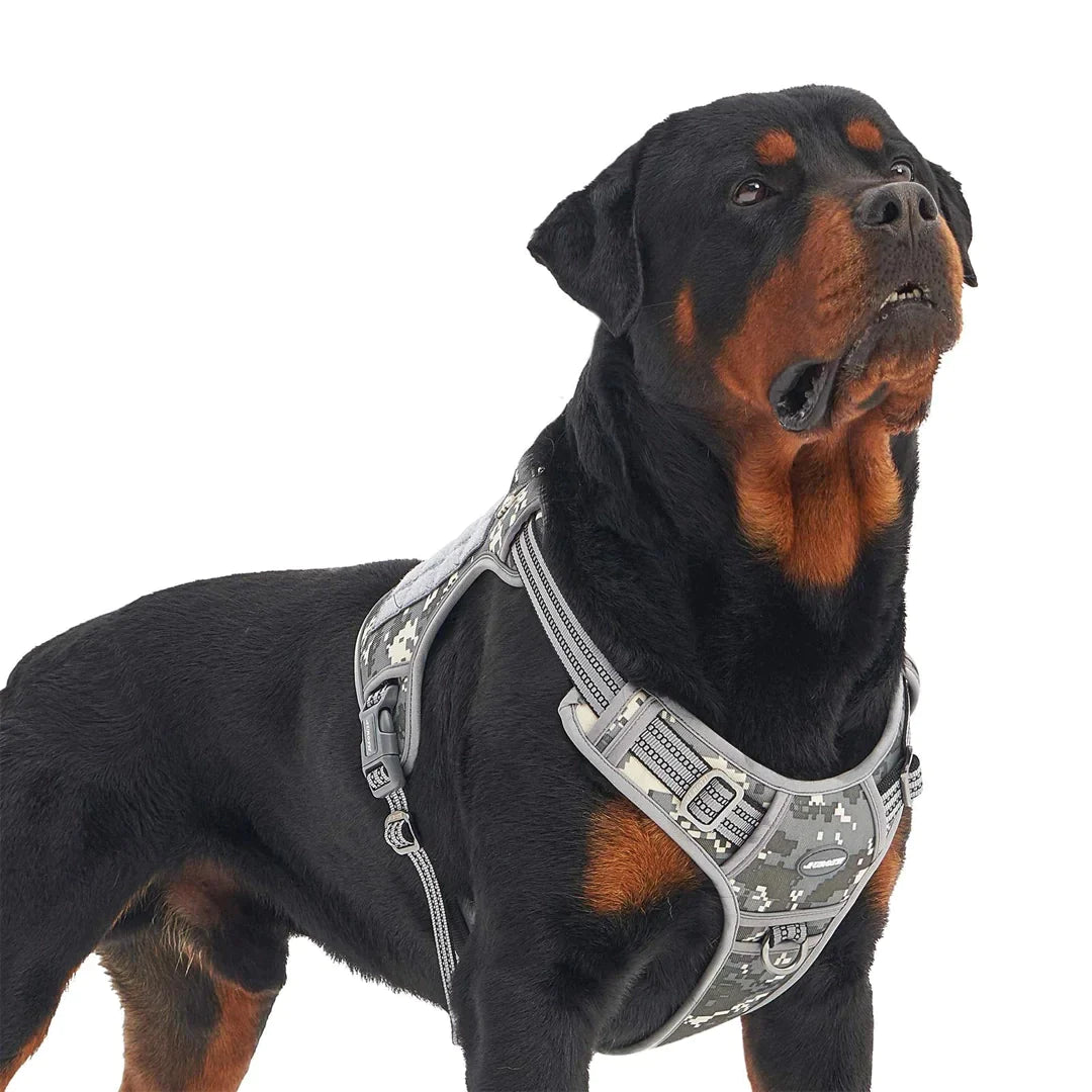 Dog sales harness vest