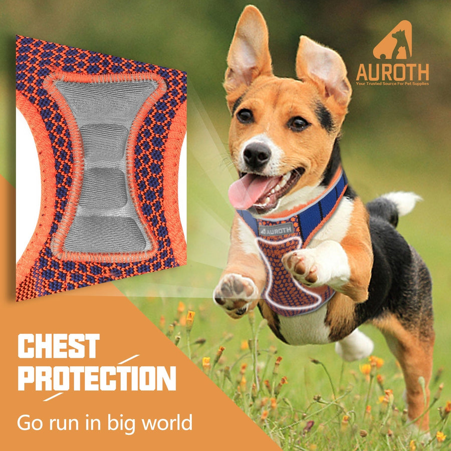 Auroth Dog Harness - Lite Series Step-in Dog Harness Cat Harness - Orange