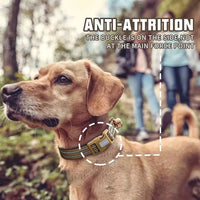 Auroth reflective collar for medium large dog