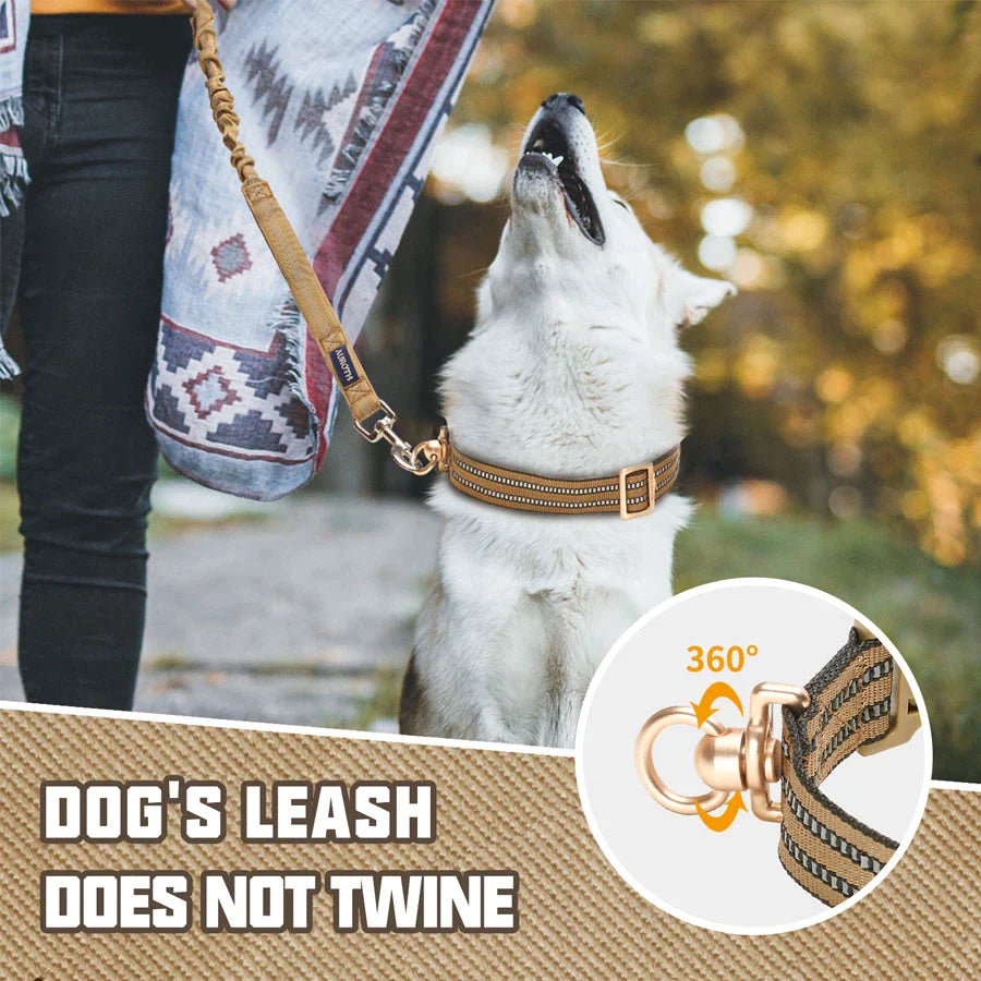 Collars for big clearance dogs that pull