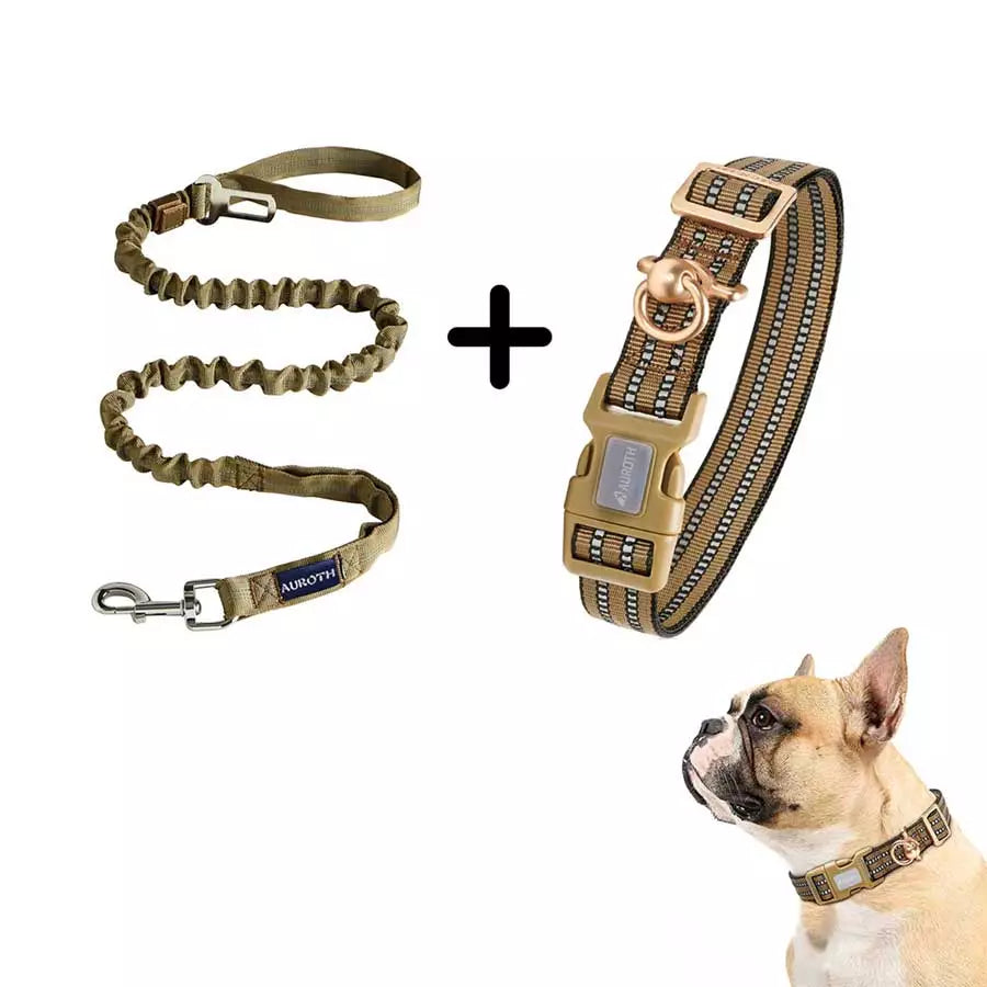 Auroth army yellow bungee dog leash with reflective collar for medium dog