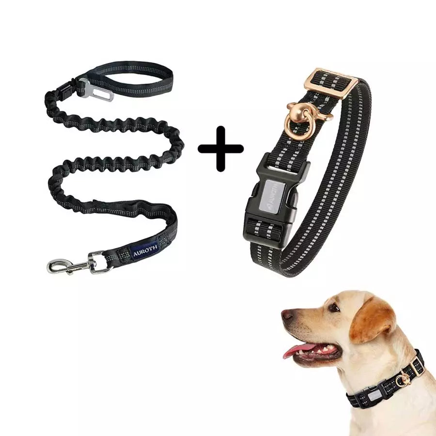 Auroth black bungee dog leash with reflective collar for large dog