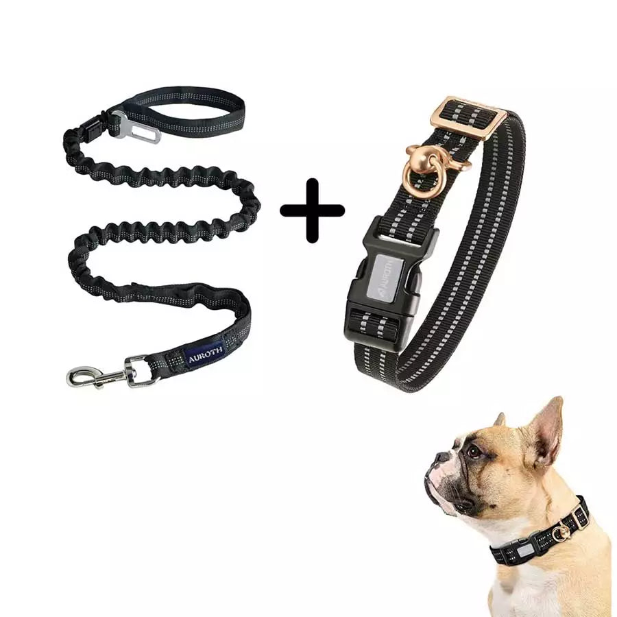 Auroth black bungee dog leash with reflective collar for medium dog