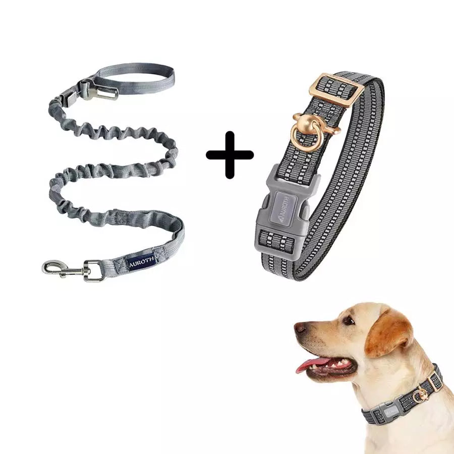 Auroth gray bungee dog leash with reflective collar for large dog