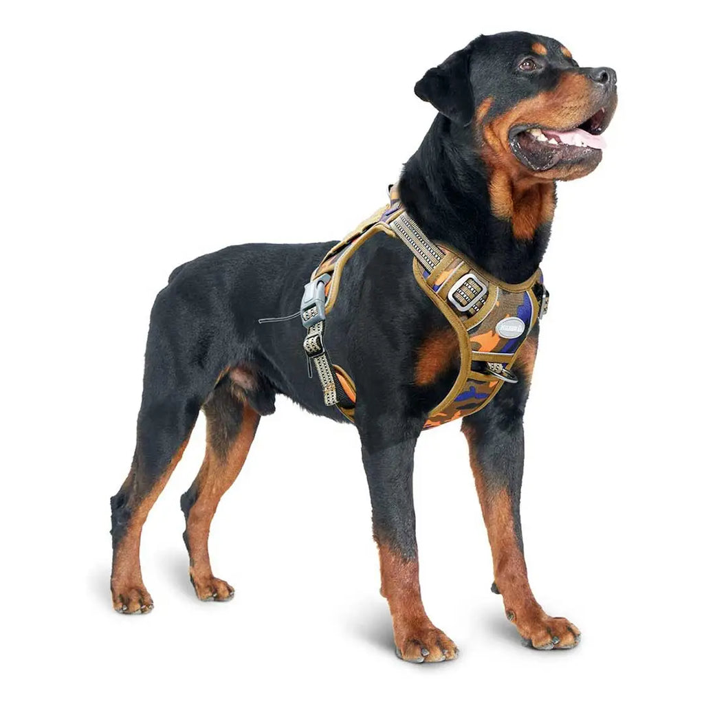 Orange camo best sale dog harness