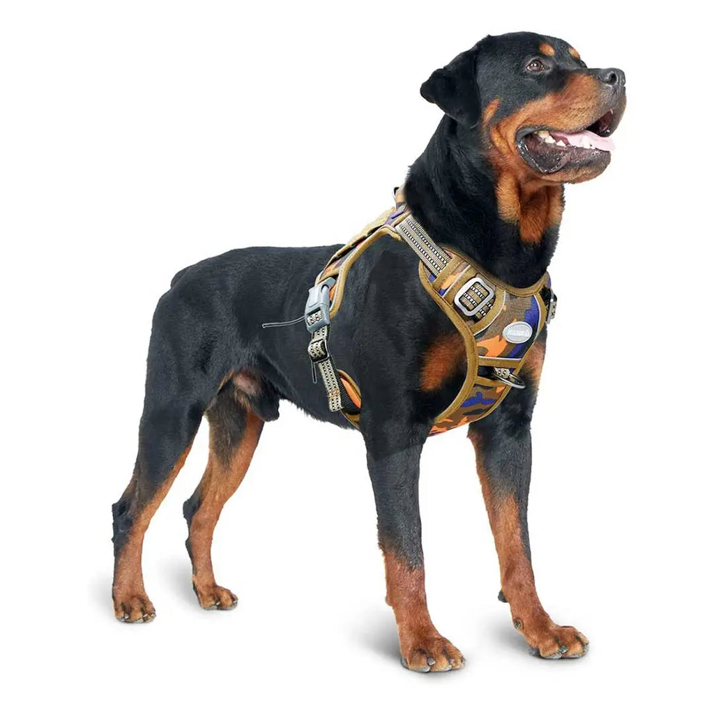 Orange camo dog 2024 harness