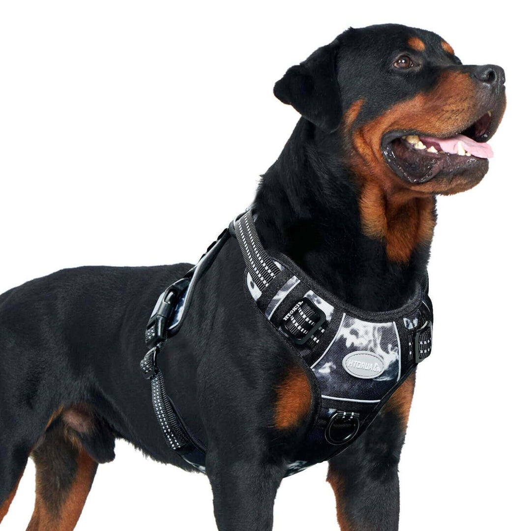 Black ink - military dog vest for rottweiler