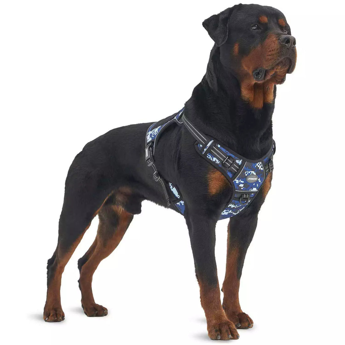 Auroth Tactical Dog Harness Adjustable Metal Buckles Dog Vest with Handle, No Pulling Front Leash Clip - Gray