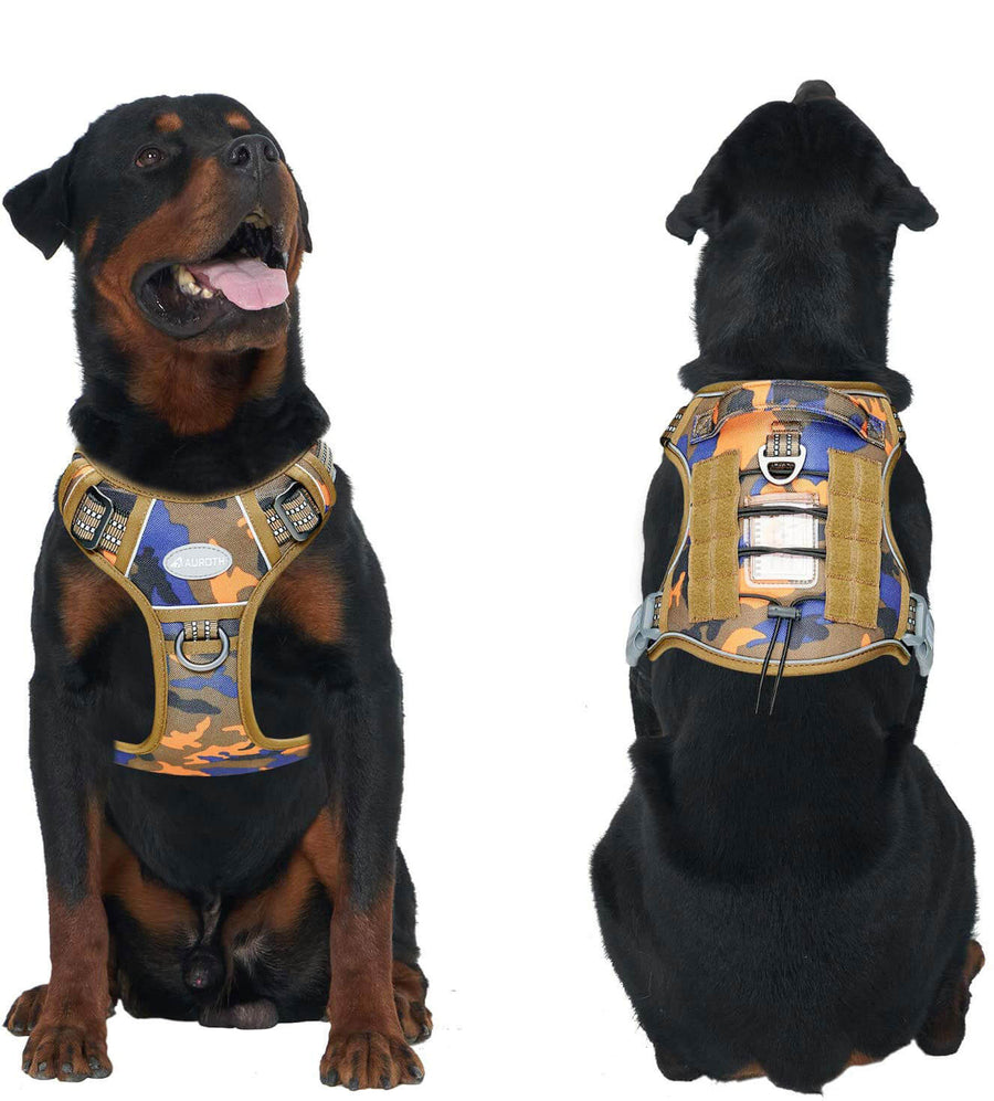 Orange Blue tactical harness for large dog