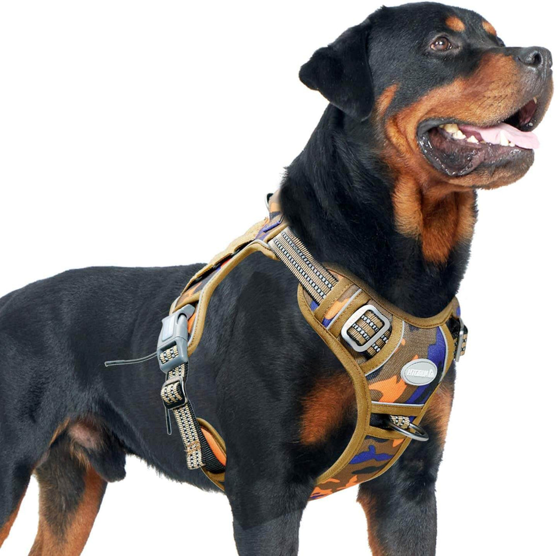 Orange Blue tactical dog harness for rottweiler