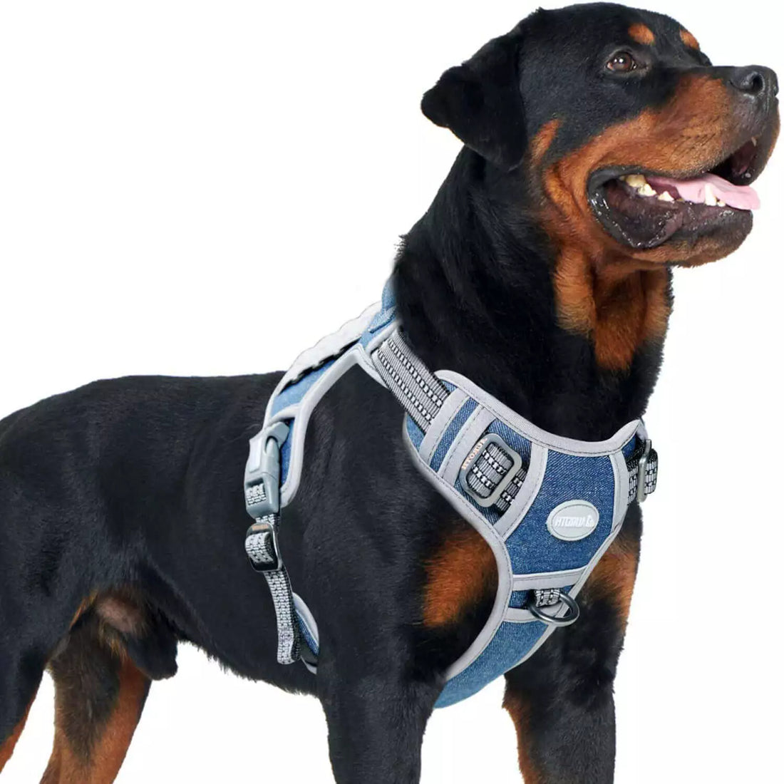Auroth Tactical Dog Harness Adjustable Metal Buckles Dog Vest with Handle, No Pulling Front Leash Clip - Gray