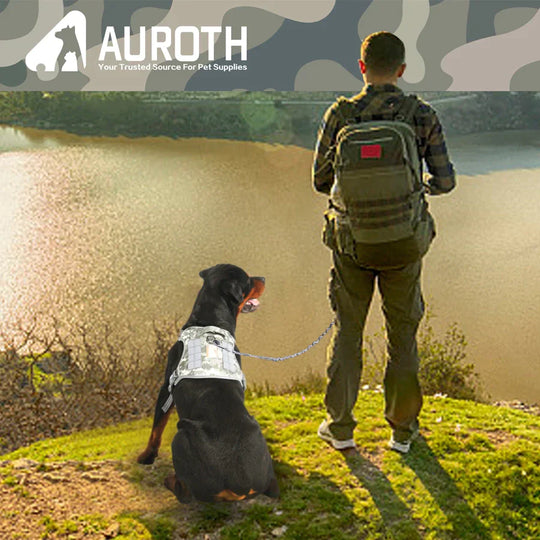 Auroth Dog Leash - Heavy Duty Bungee Tactical & Training Leash 6Ft - Black