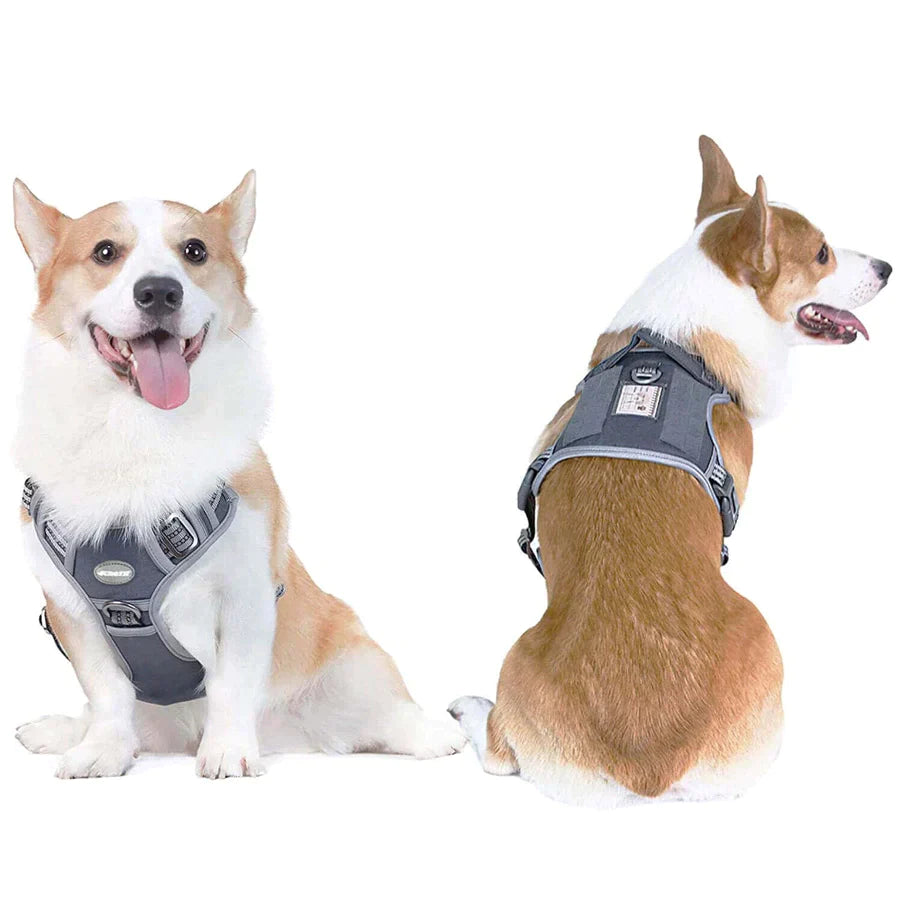 Auroth Starter Pack  No Pull Dog Harness Vest for Large Medium Dog –  aurothpets