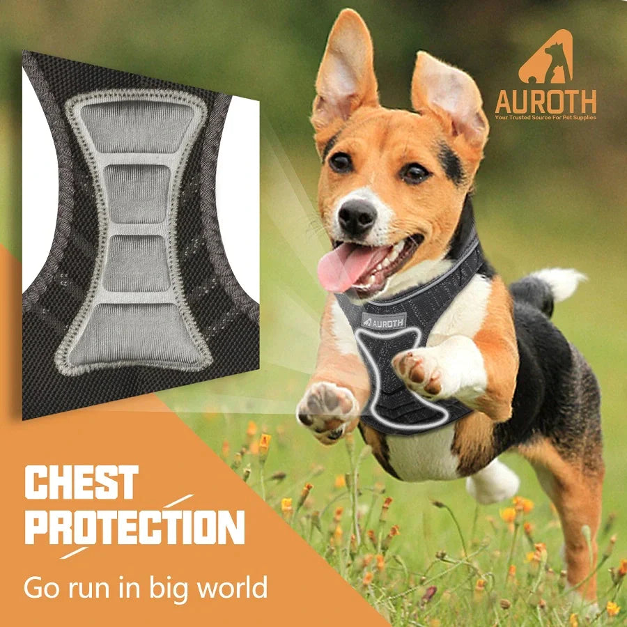 Auroth Dog Harness - Lite Series Step-in Dog Harness Cat Harness - Gray