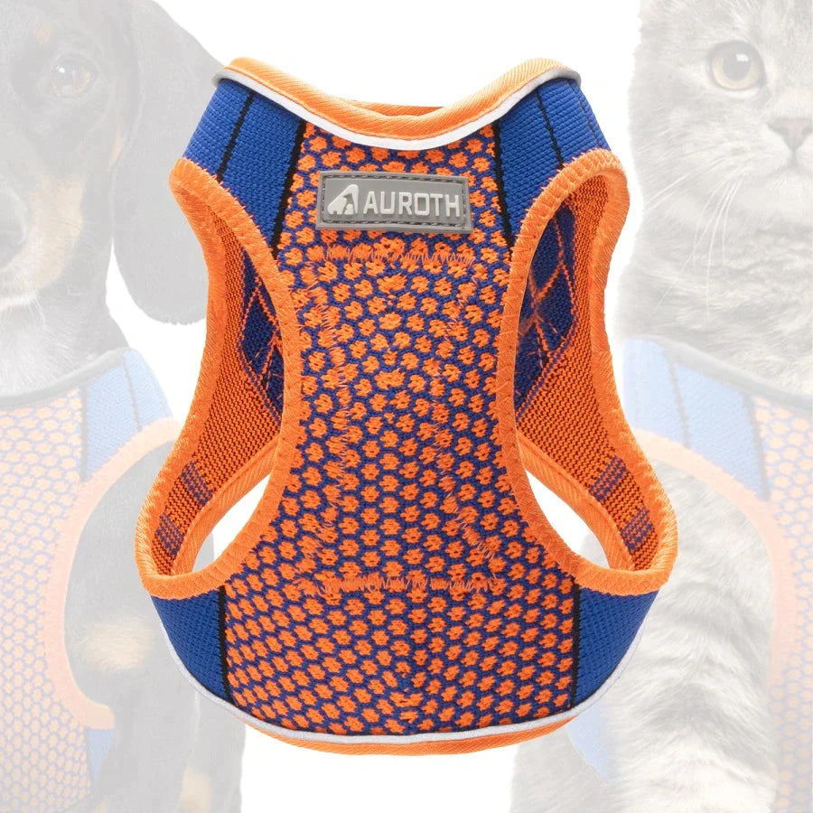 Step in top cat harness