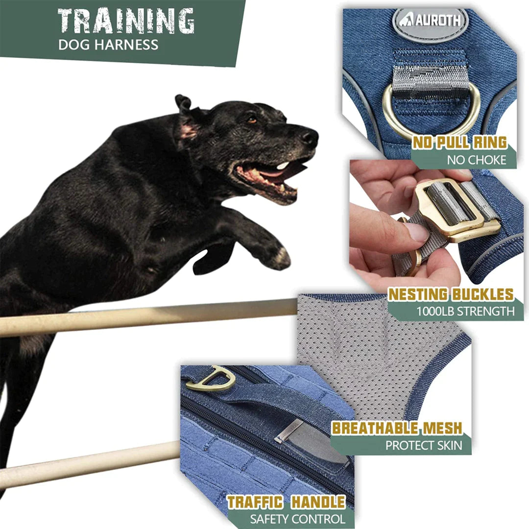 Us navy dog sales harness